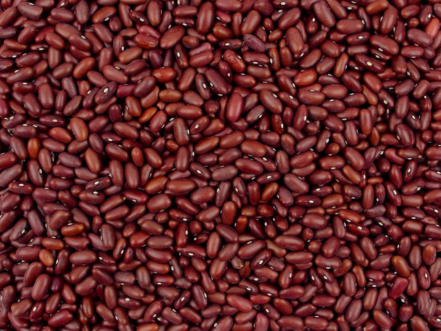 Red Kidney Beans Dried - 25kg Bulk