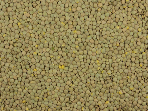 Green Lentils Whole Dried - 5kg Bulk