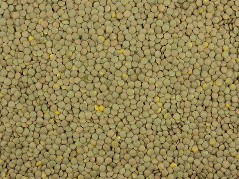 Green Lentils Whole Dried - 25kg Bulk