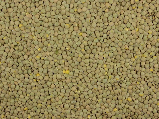 Green Lentils Whole Dried - 25kg Bulk