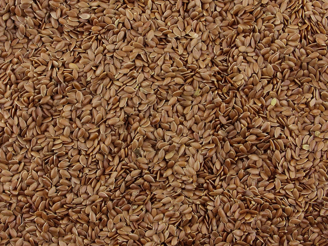 Gorilla Food Co. Linseeds Flax Seed Brown Whole 25kg Bulk Wholesale