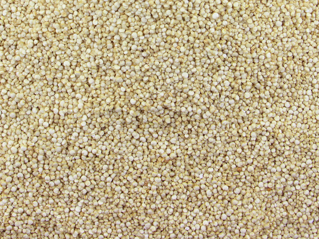 Gorilla Food Co. Quinoa Grain White 25kg Bulk Wholesale