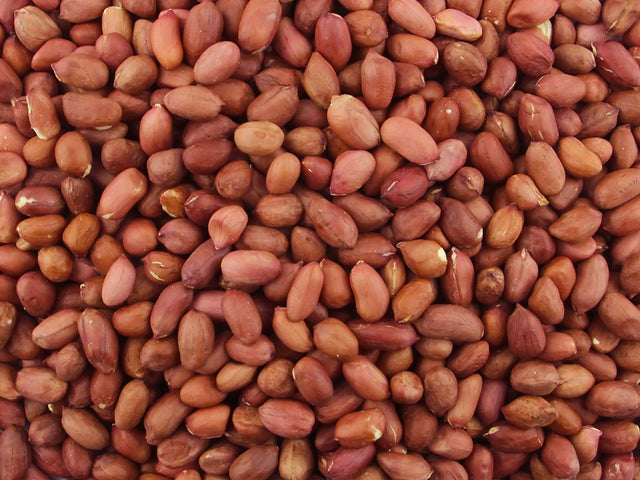 Gorilla Food Co. Redskin Peanuts Whole Raw 25kg Bulk Wholesale