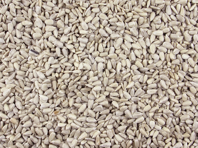 Gorilla Food Co. Sunflower Seeds Raw Kernels Edible 25kg Bulk Wholesale